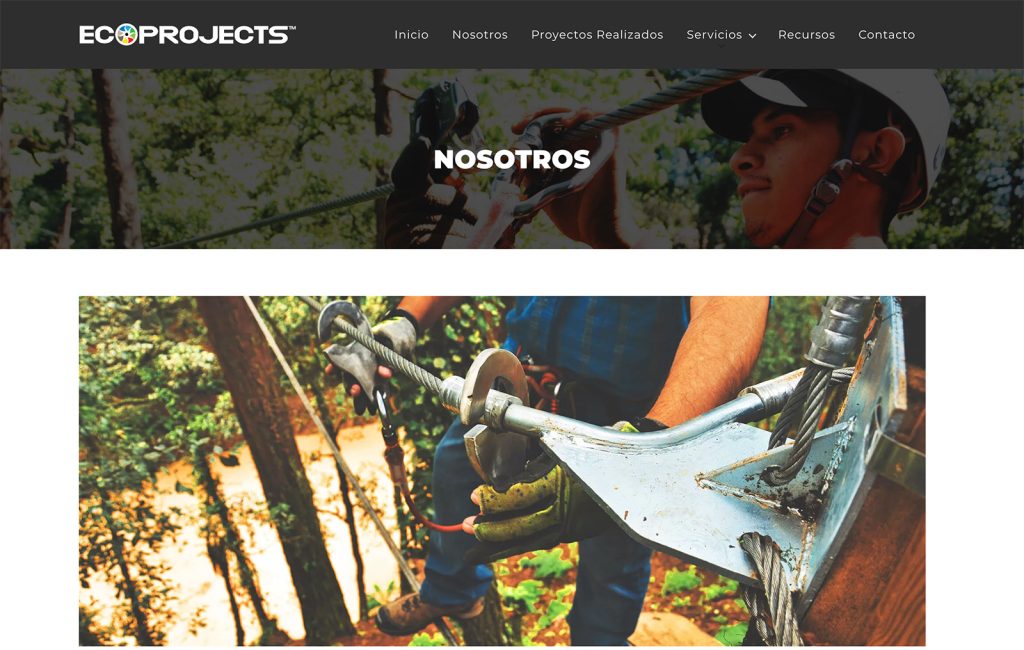 agencia web monterrey