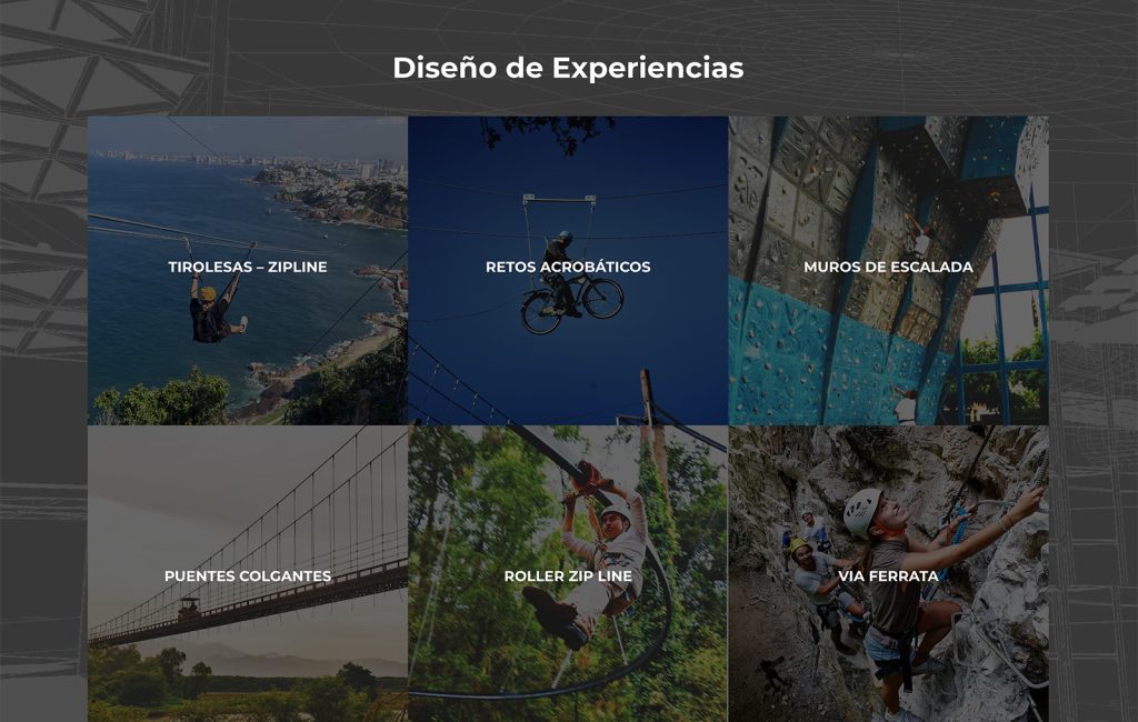 disenador de sitios web