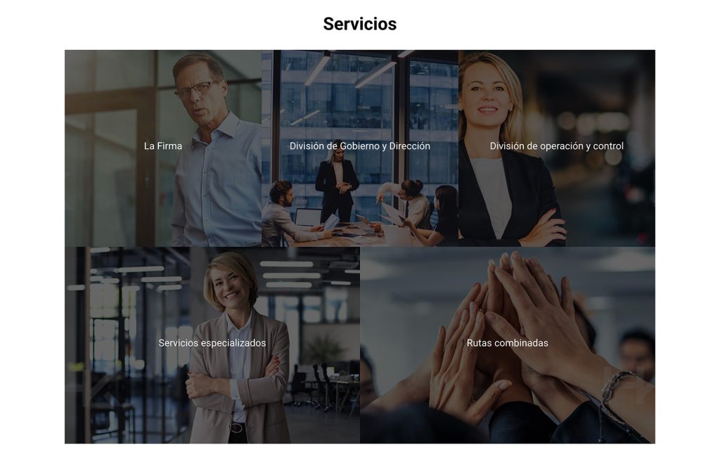 disenador web monterrey