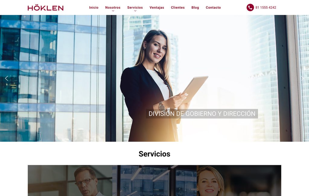 diseno de paginasweb monterrey