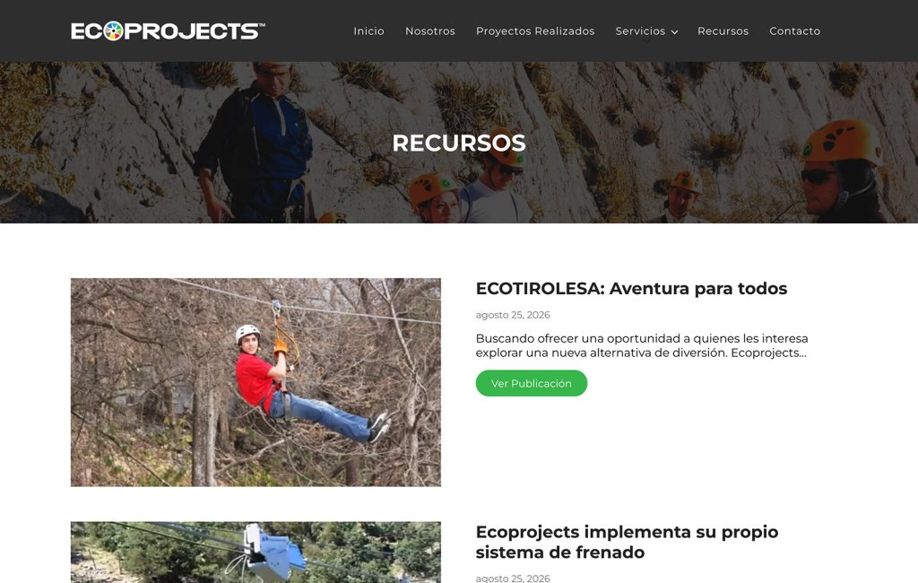 diseno de paginas web monterrey