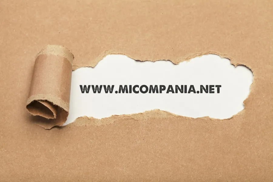 Bioxnet - Diseño de Páginas Web Monterrey | Qué hacer si el dominio de tus sueños ya esta ocupado Bioxnet - Diseño de Páginas Web Monterrey | Qué hacer si el dominio de tus sueños ya esta ocupado