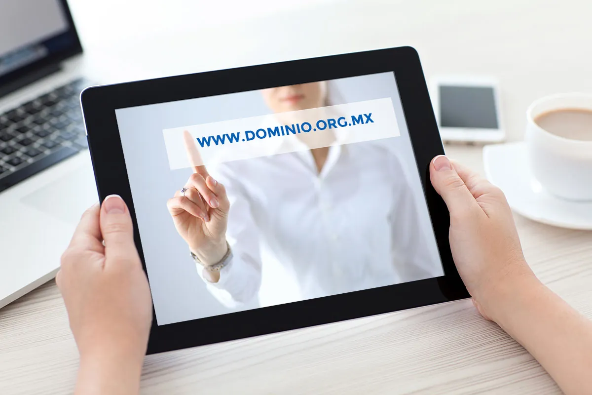 Bioxnet - Diseño de Páginas Web Monterrey | Como obtener un dominio para tu sitio web