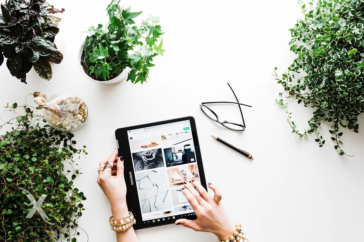 Bioxnet - Diseño de Páginas Web Monterrey | La oportunidad de venta para las tiendas en línea con Google Images Bioxnet - Diseño de Páginas Web Monterrey | La oportunidad de venta para las tiendas en línea con Google Images