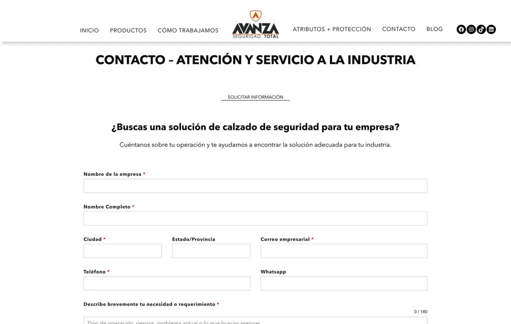 disenador web monterrey 04