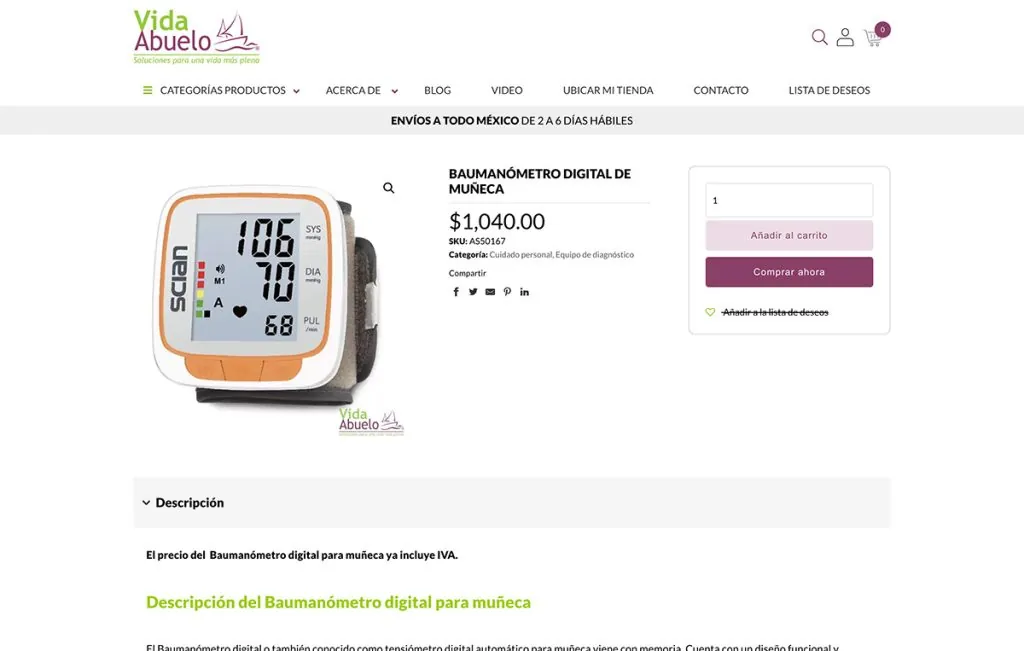 agencia web monterrey 4 1