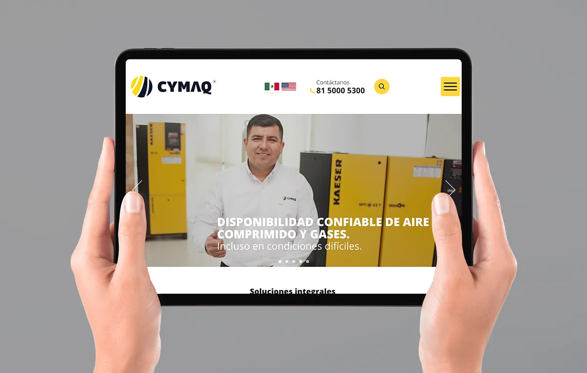 DISENO web profesional monterrey