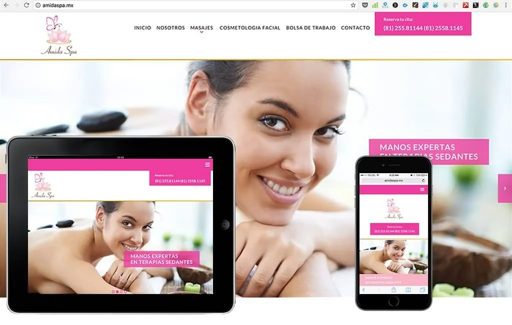 diseño web liquido monterrey