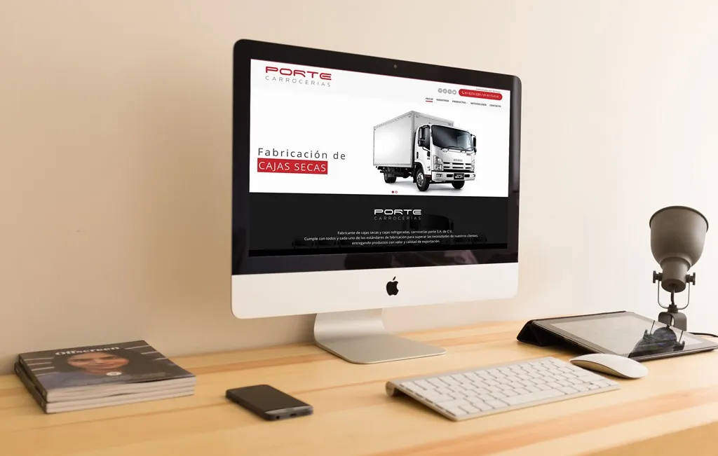 diseno web profesional mexico