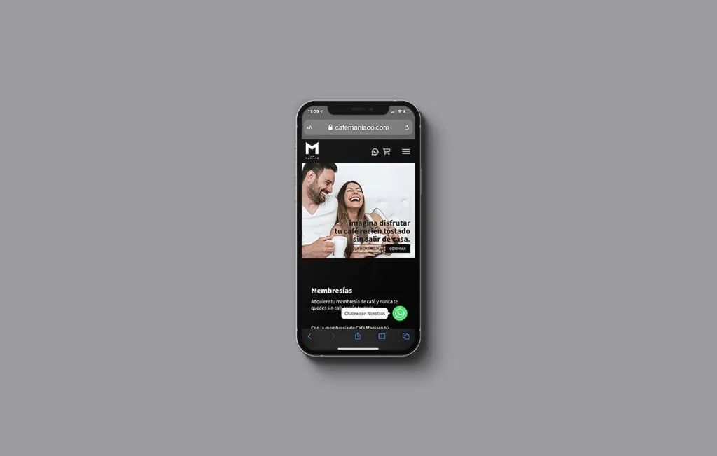 diseño de paginas web monterrey