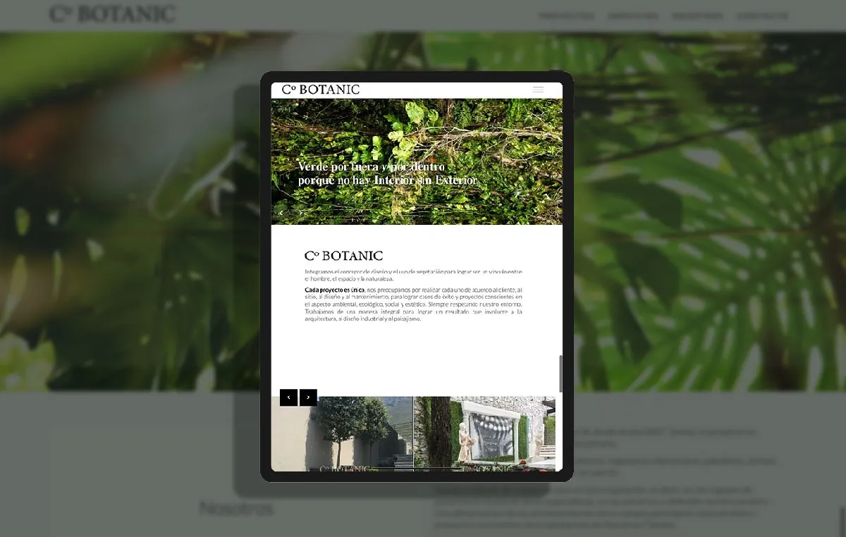 diseño de paginas web monterrey