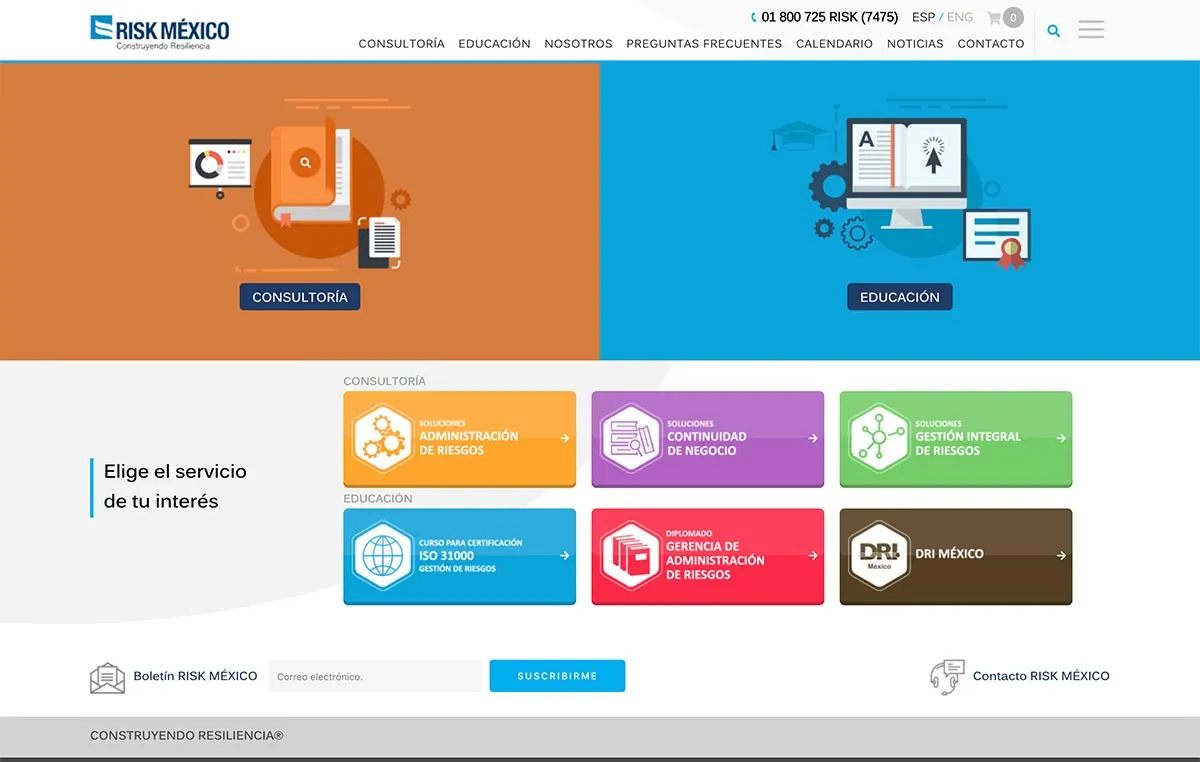 diseno_web_profesional