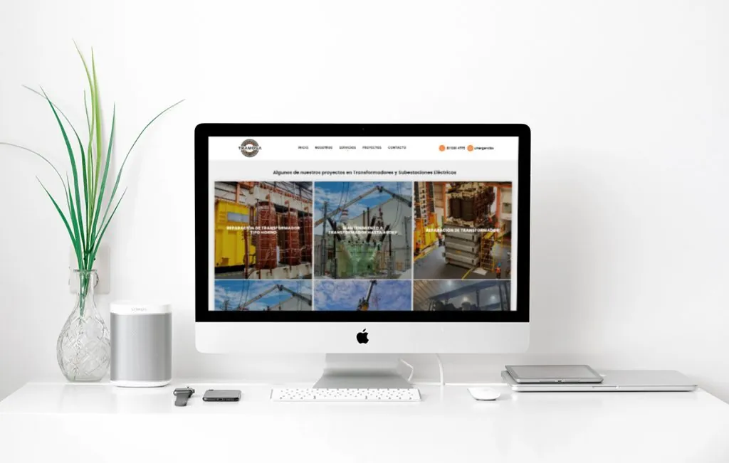 diseño web profesional