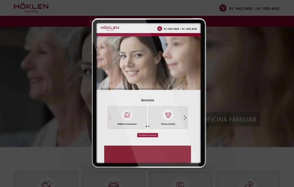 diseño web profesional en monterrey
