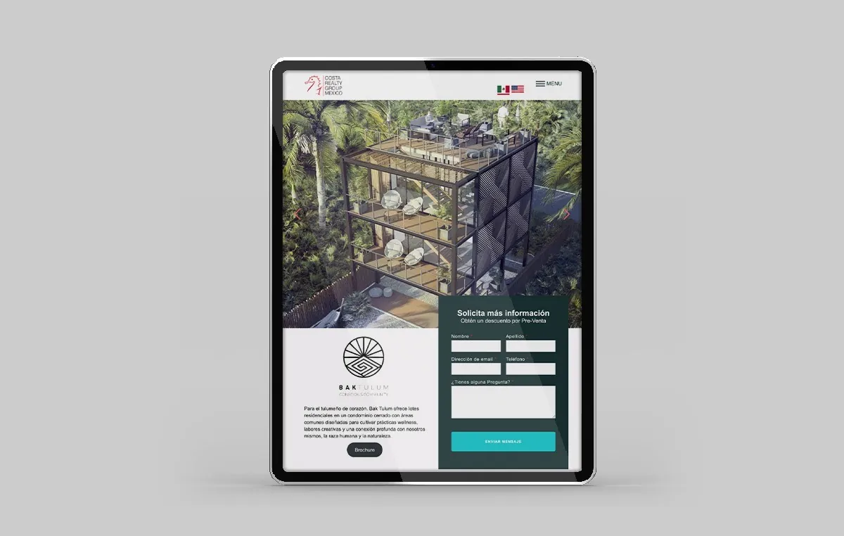 diseño web profesional sanpedro
