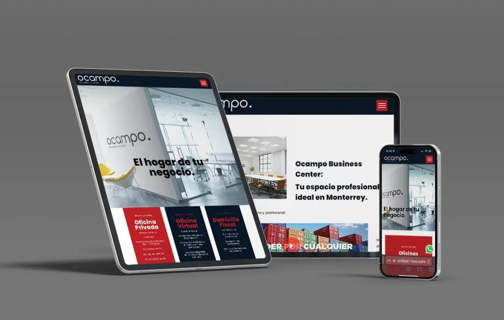 diseño web paginas monterrey