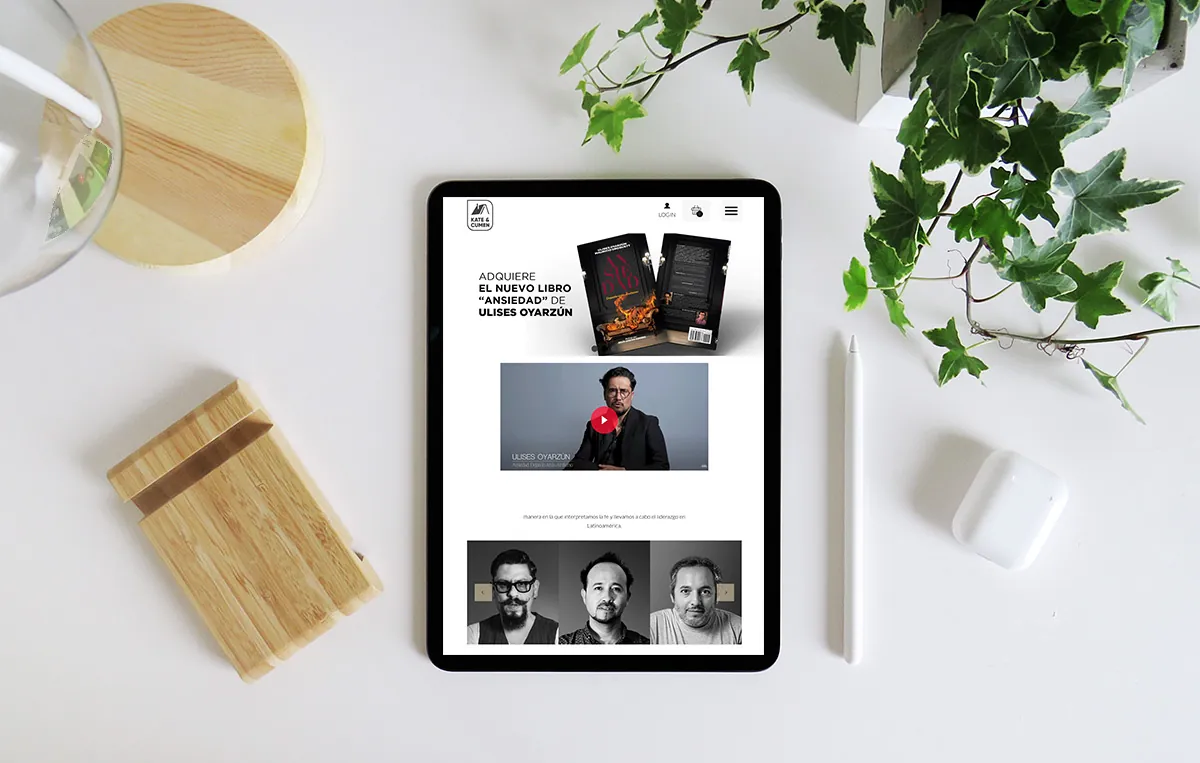 diseño web profesional