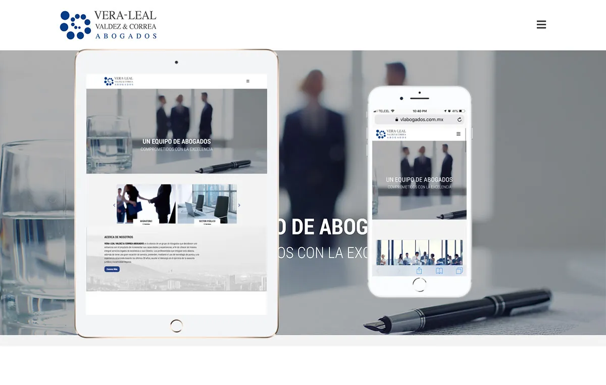 disenoweb profesional mexico