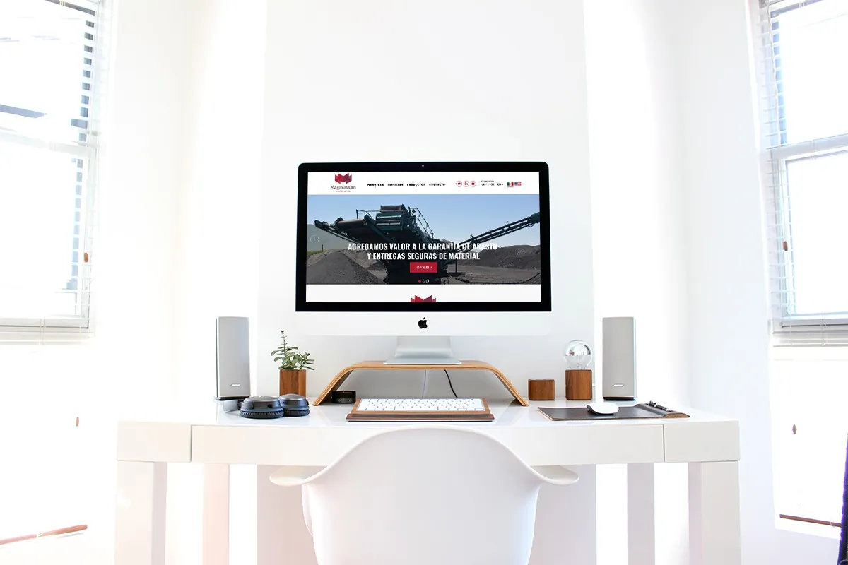 diseño web profesional monterrey