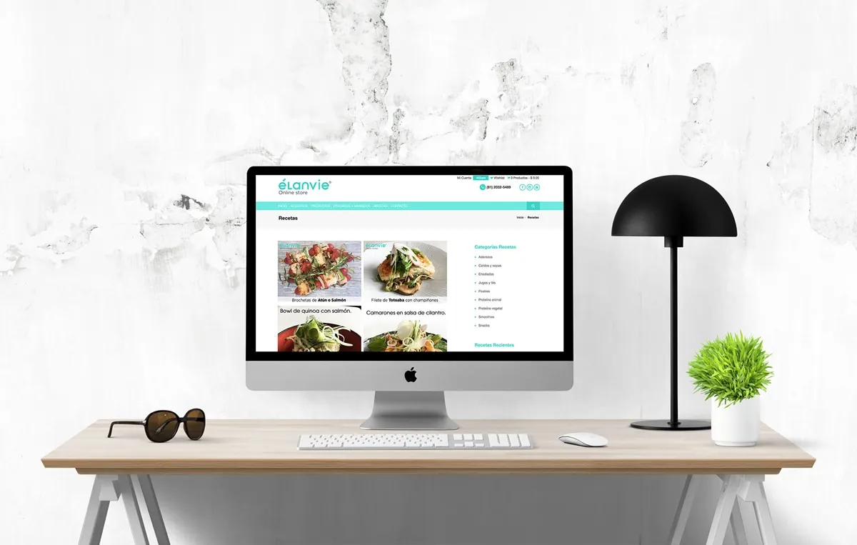 diseno paginas web