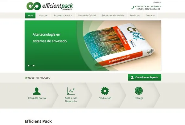 efficient portada1
