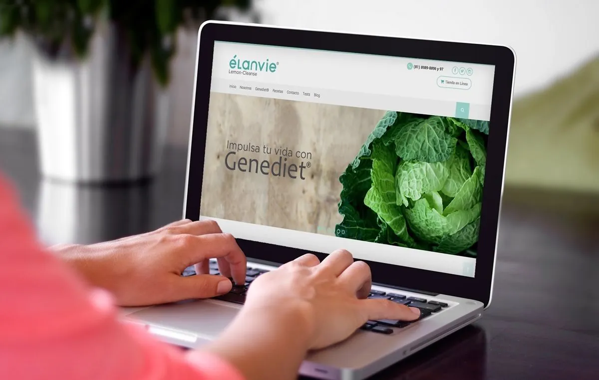 diseño web responsivo mexico