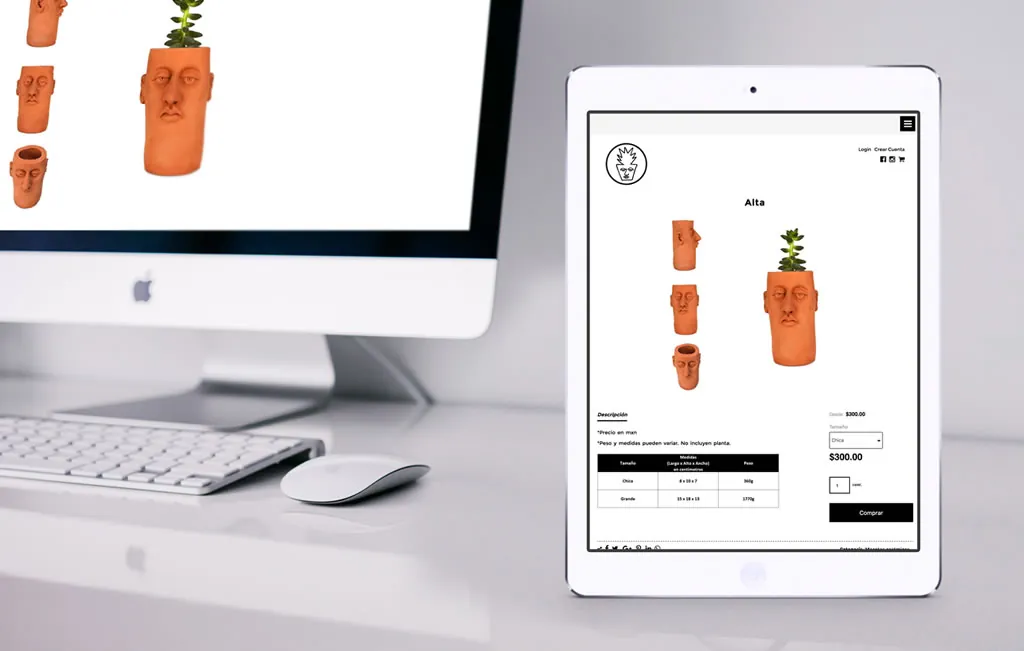 diseno web para ipad monterrey