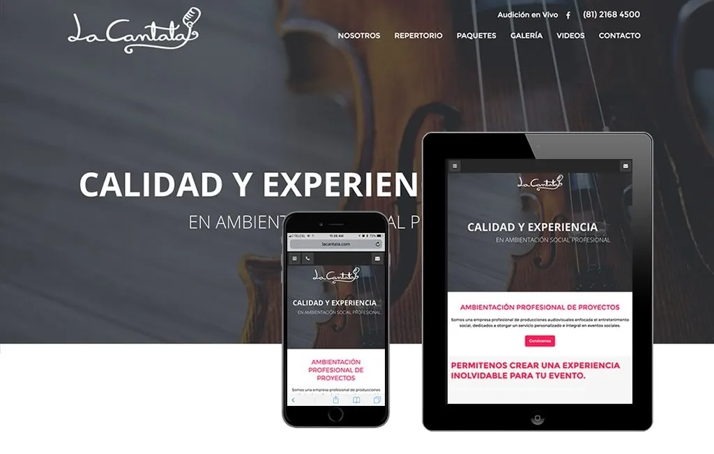diseno de sitio web profesional