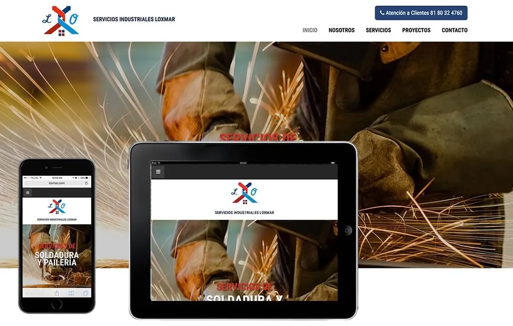 diseño web profesional en monterrey