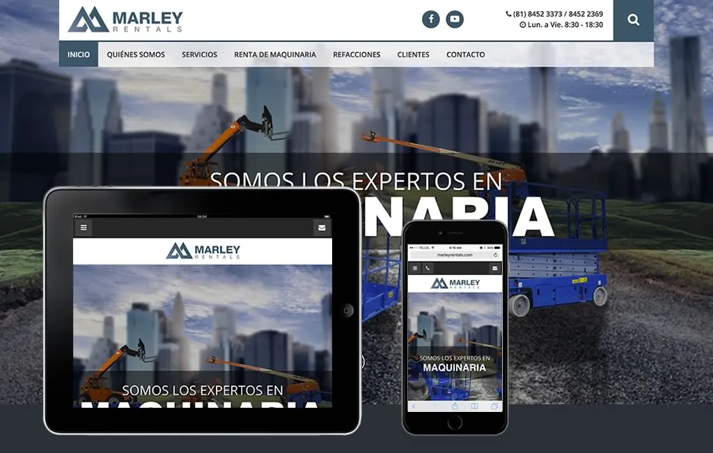 diseño de sitio web profesional