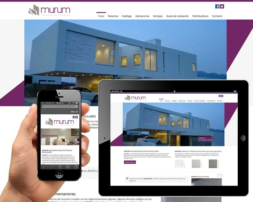 diseno web profesional monterrey