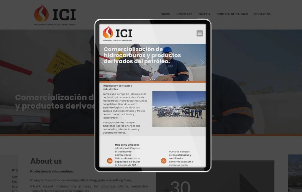paginas web en monterrey|diseño web monterrey