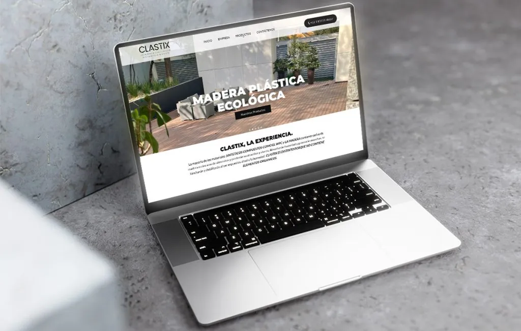 paginas web en monterrey