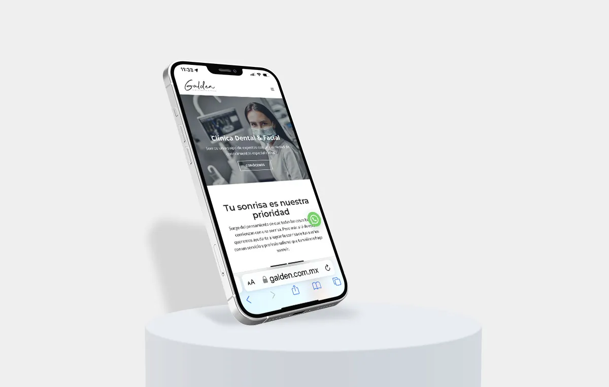 pagina web responsiva monterrey