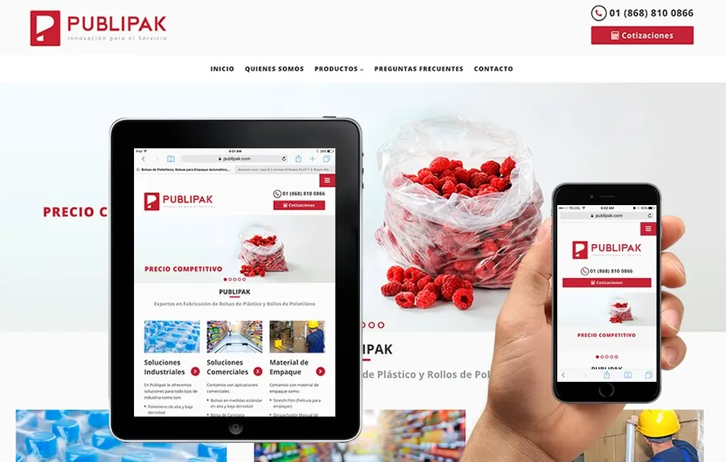 diseño web profesional