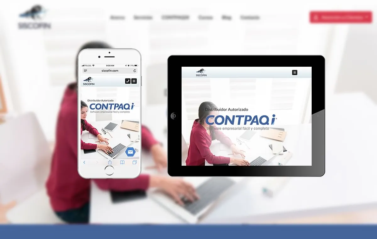 sitios_web_profesional