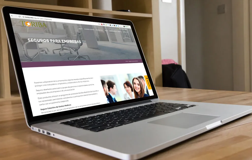diseno de sitios web administrables