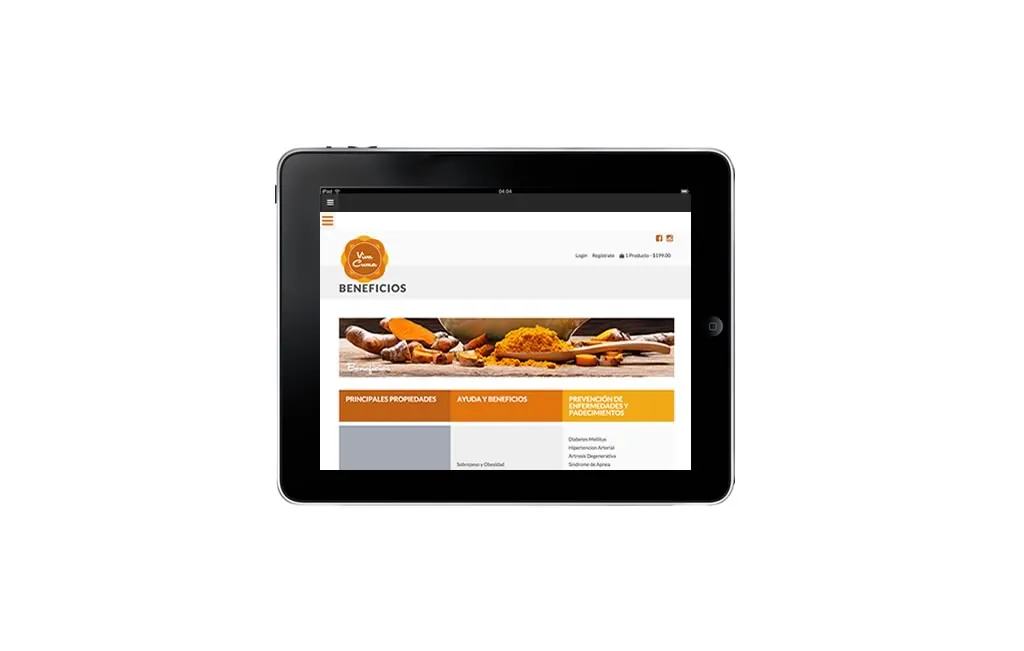 diseno web para ipad monterrey