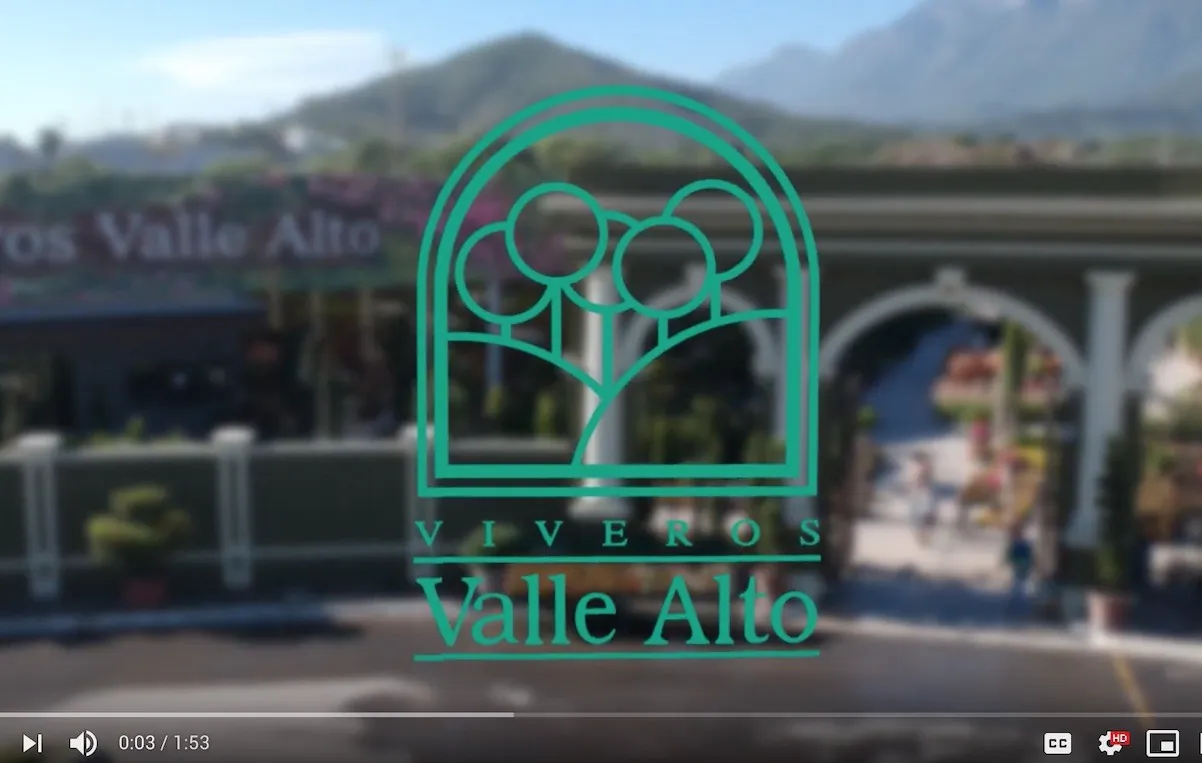 video promocional para empresas
