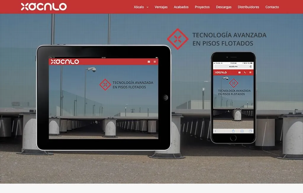 disenador web monterrey