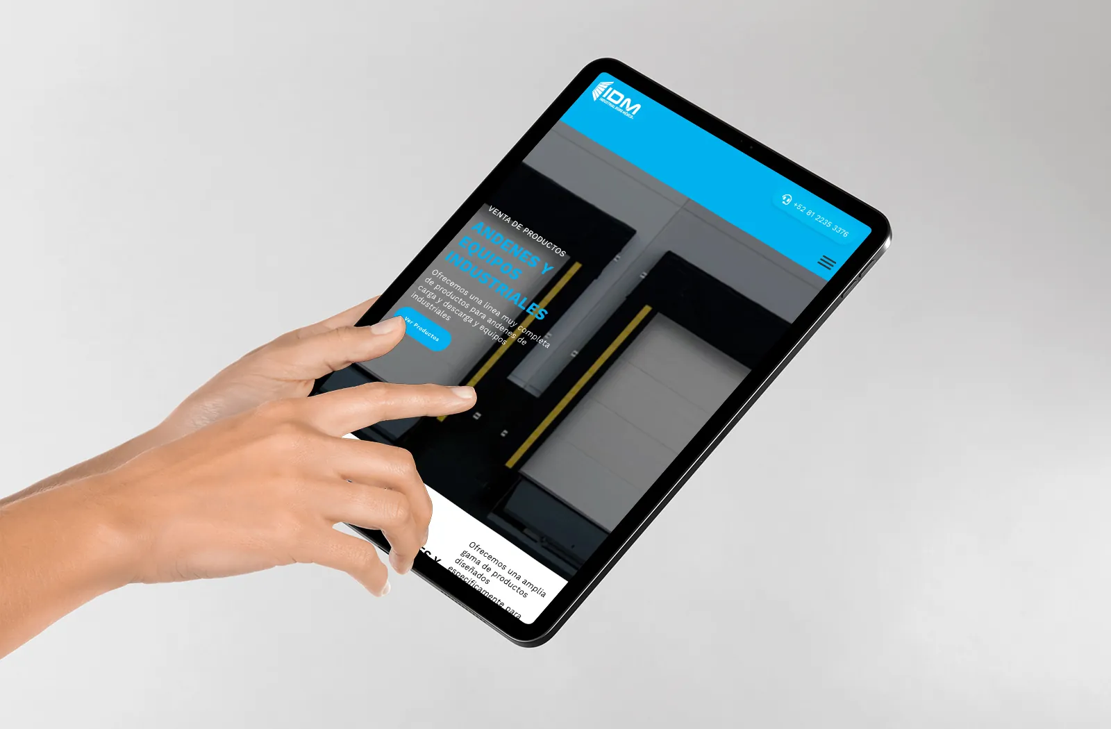 diseno web profesional en monterrey