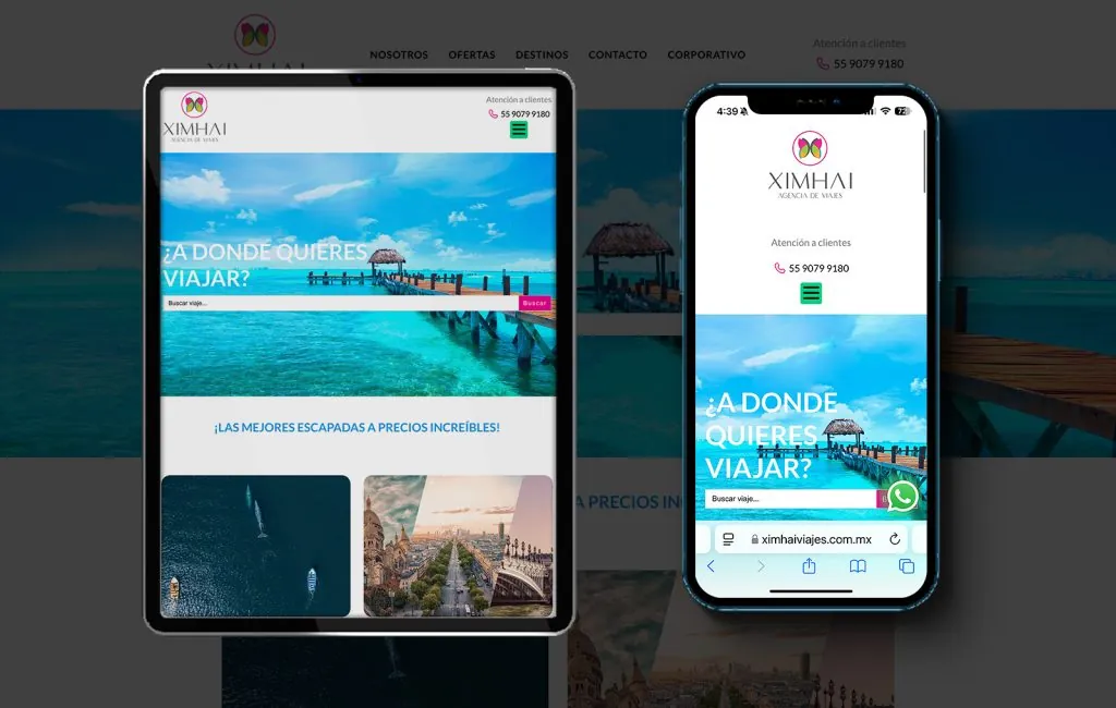 agencia De Diseno WEb en monterrey