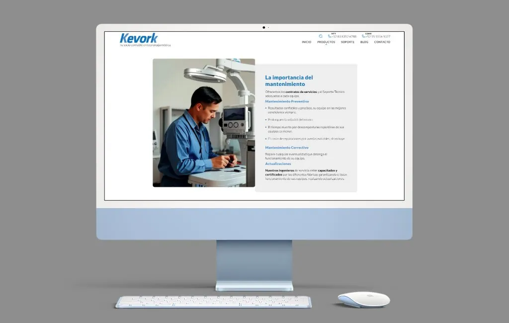 diseño paginas de internet monterrey