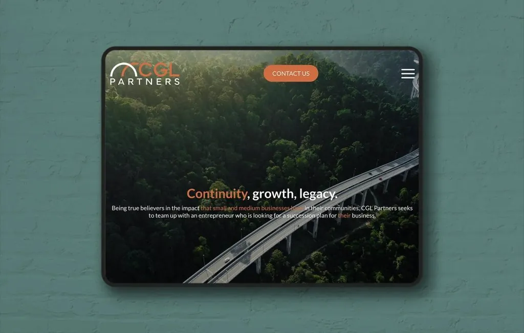 diseño web profesional en san pedro