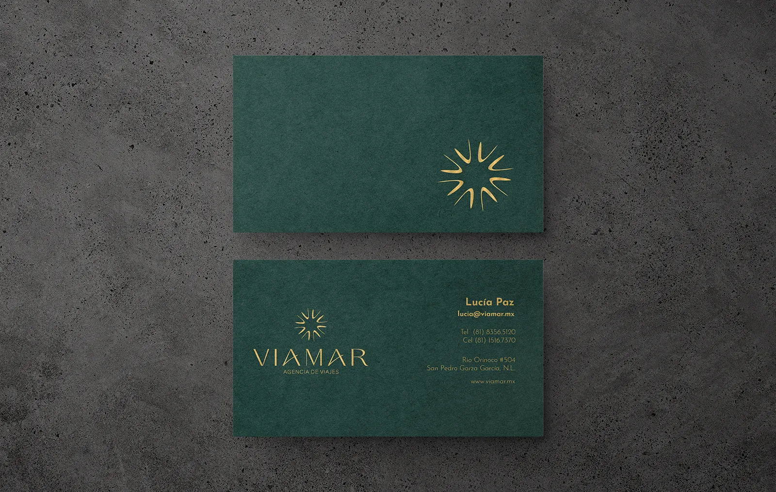 Bioxnet - Diseño de Páginas Web Monterrey|Viamar
