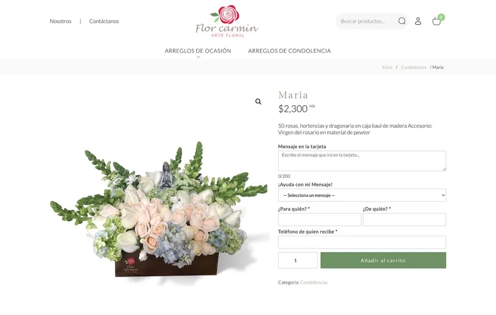 diseno sitio web venta en linea monterrey