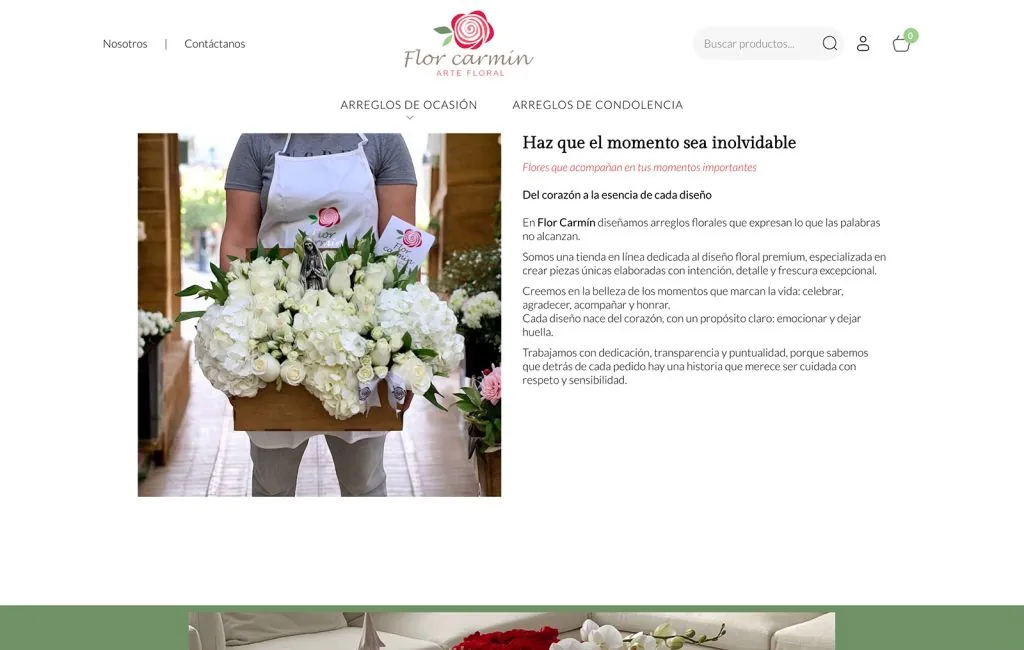 pagina Web tienda en linea