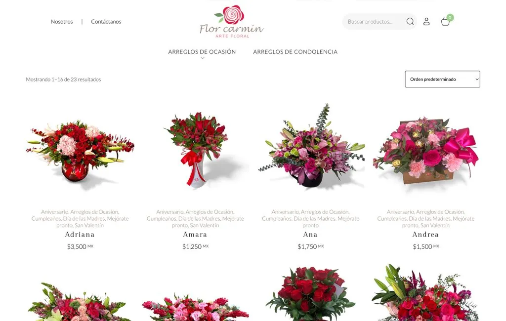 diseño de sitio web ecommerce