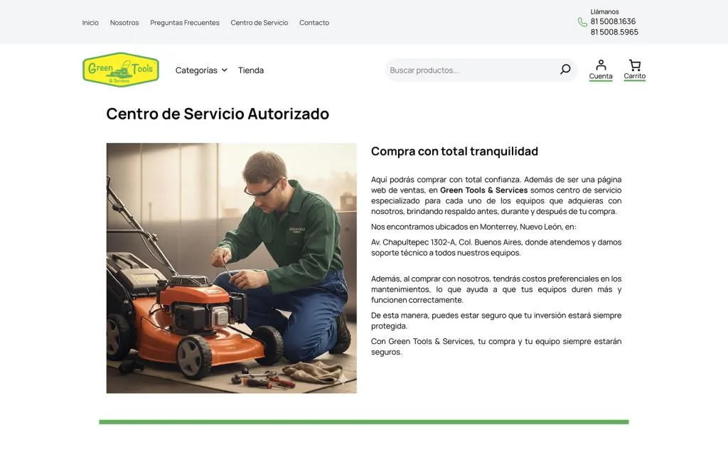 sitios web monterrey