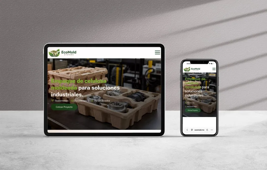 empresas de diseno web profesional en monterrey